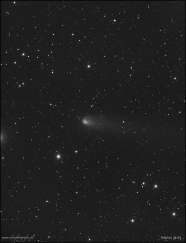Kometa 81P WILD