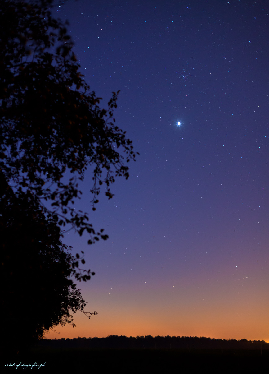 Poranna Wenus a tuż nad nią Żłóbek (M44)