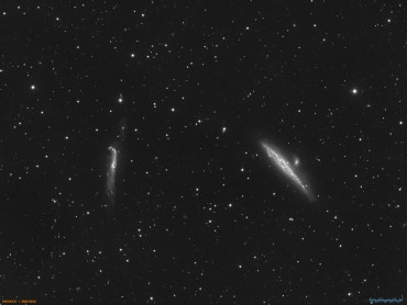 NGC4631 oraz NGC4656 – galaktyki w morzu galaktyk