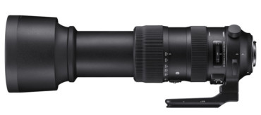 Sigma Sport 60-600mm F4.5-6.3 DG OS HSM I S – mini przegląd